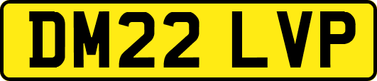 DM22LVP