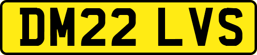 DM22LVS