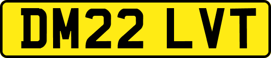 DM22LVT