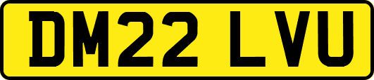 DM22LVU