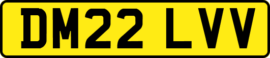 DM22LVV