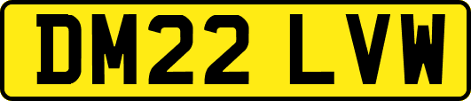 DM22LVW