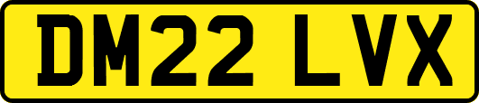DM22LVX