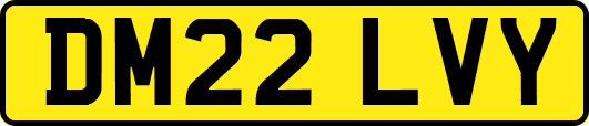 DM22LVY