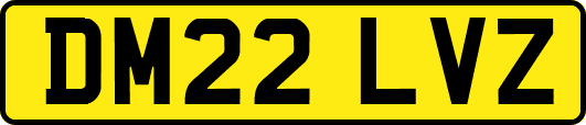 DM22LVZ