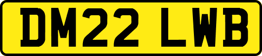 DM22LWB