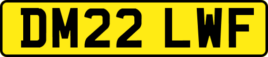DM22LWF