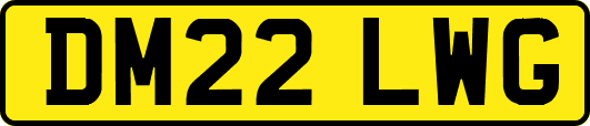 DM22LWG