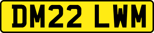 DM22LWM
