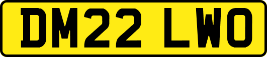 DM22LWO
