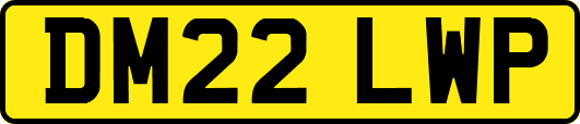 DM22LWP