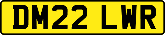 DM22LWR