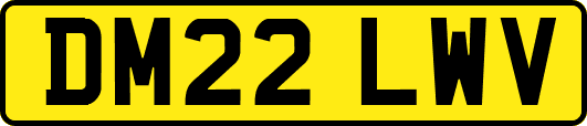 DM22LWV