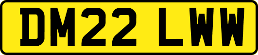 DM22LWW