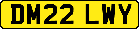 DM22LWY