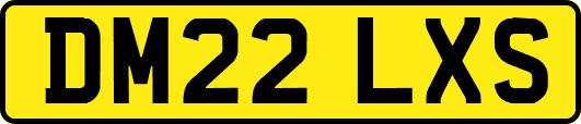 DM22LXS