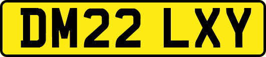 DM22LXY