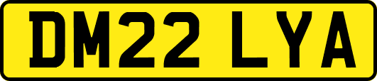DM22LYA