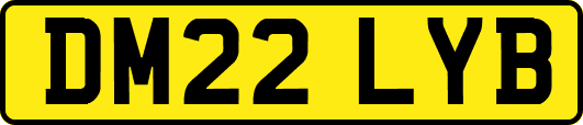 DM22LYB
