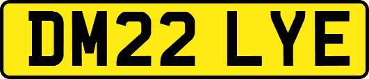 DM22LYE