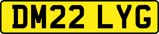 DM22LYG