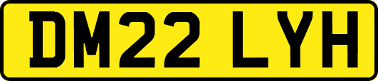 DM22LYH