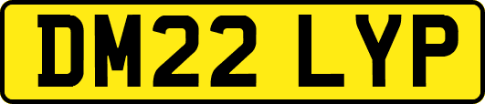 DM22LYP