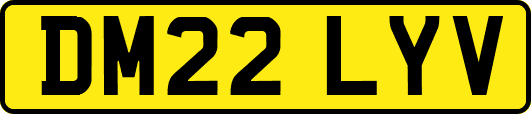DM22LYV