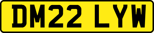 DM22LYW