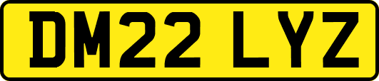 DM22LYZ