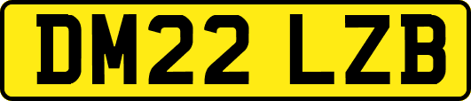DM22LZB