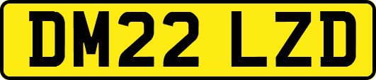 DM22LZD