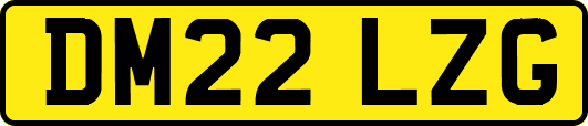 DM22LZG