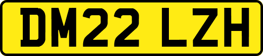 DM22LZH