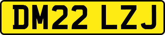 DM22LZJ
