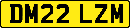 DM22LZM
