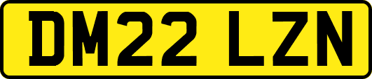 DM22LZN