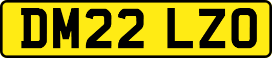 DM22LZO