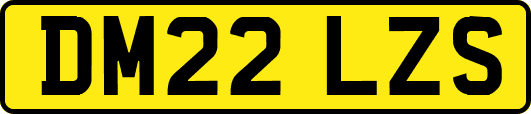 DM22LZS
