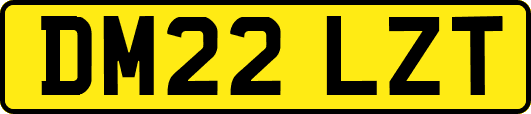 DM22LZT