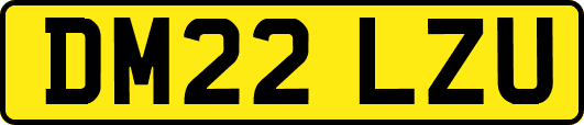 DM22LZU