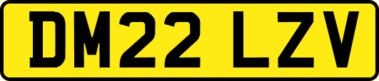 DM22LZV