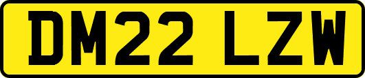 DM22LZW