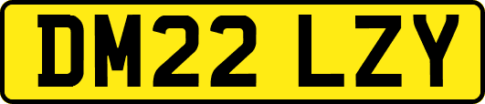 DM22LZY