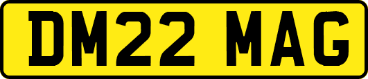 DM22MAG