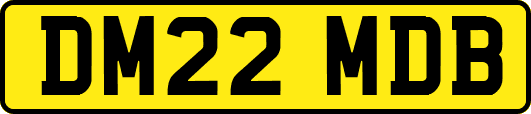 DM22MDB