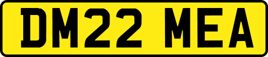 DM22MEA
