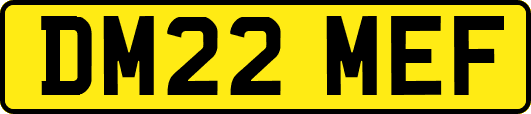 DM22MEF