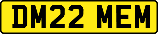 DM22MEM