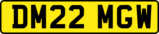 DM22MGW